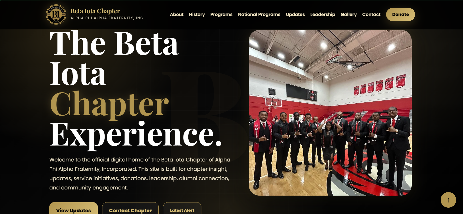 Beta Iota organization website preview